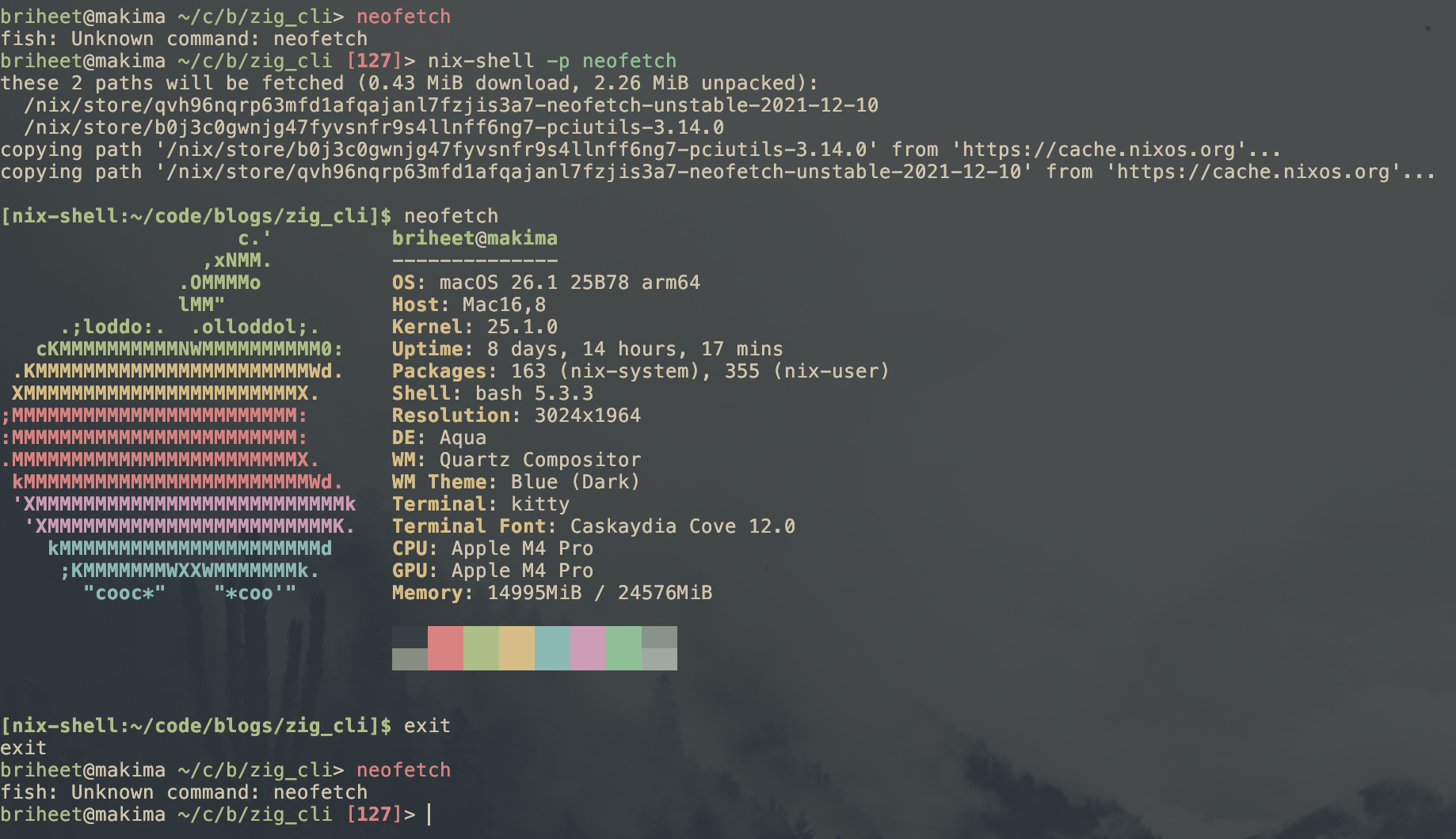 Test nix-shell