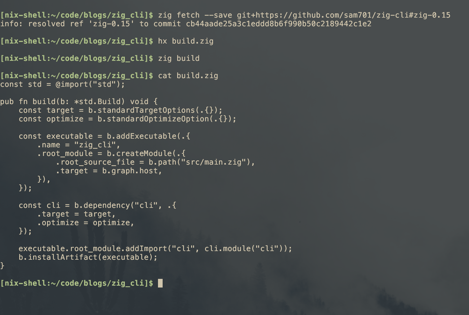 Zig_cli_import