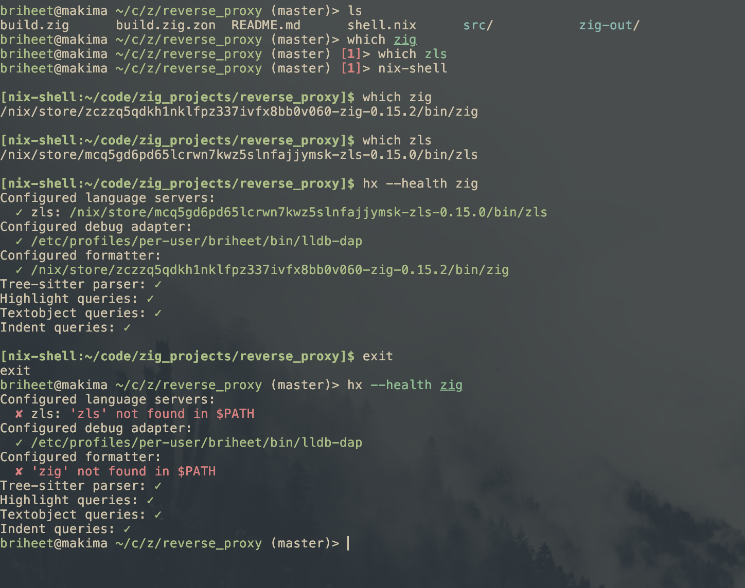 Zig_zls_installed